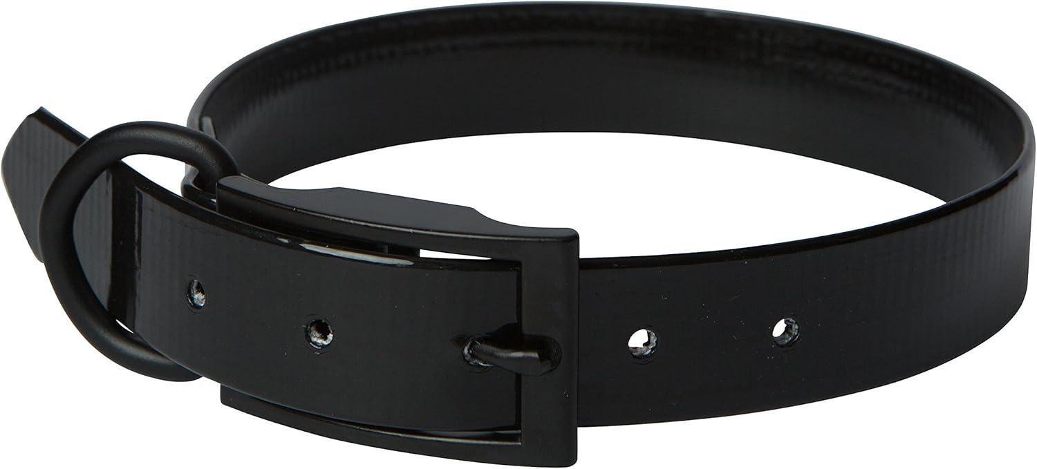 Leather Brothers/OmniPet SunGlo Regular Dog Collar, Black, 1-in x 23-in