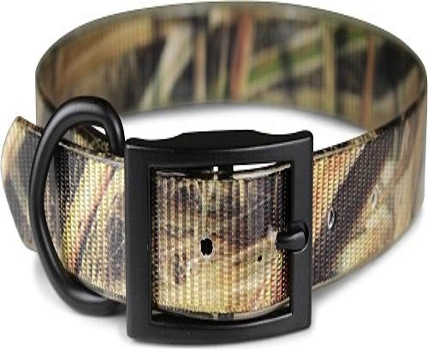 Leather Brothers/OmniPet SunGlo Regular Dog Collar, Mossy Oak Blades Camo, 1-in x 19-in