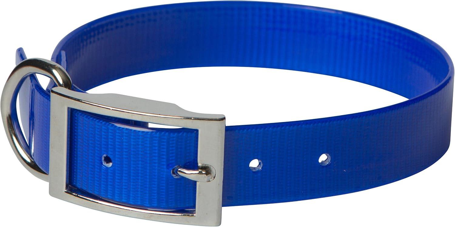 Leather Brothers/OmniPet SunGlo Regular Dog Collar, Blue, 1-in x 25-in