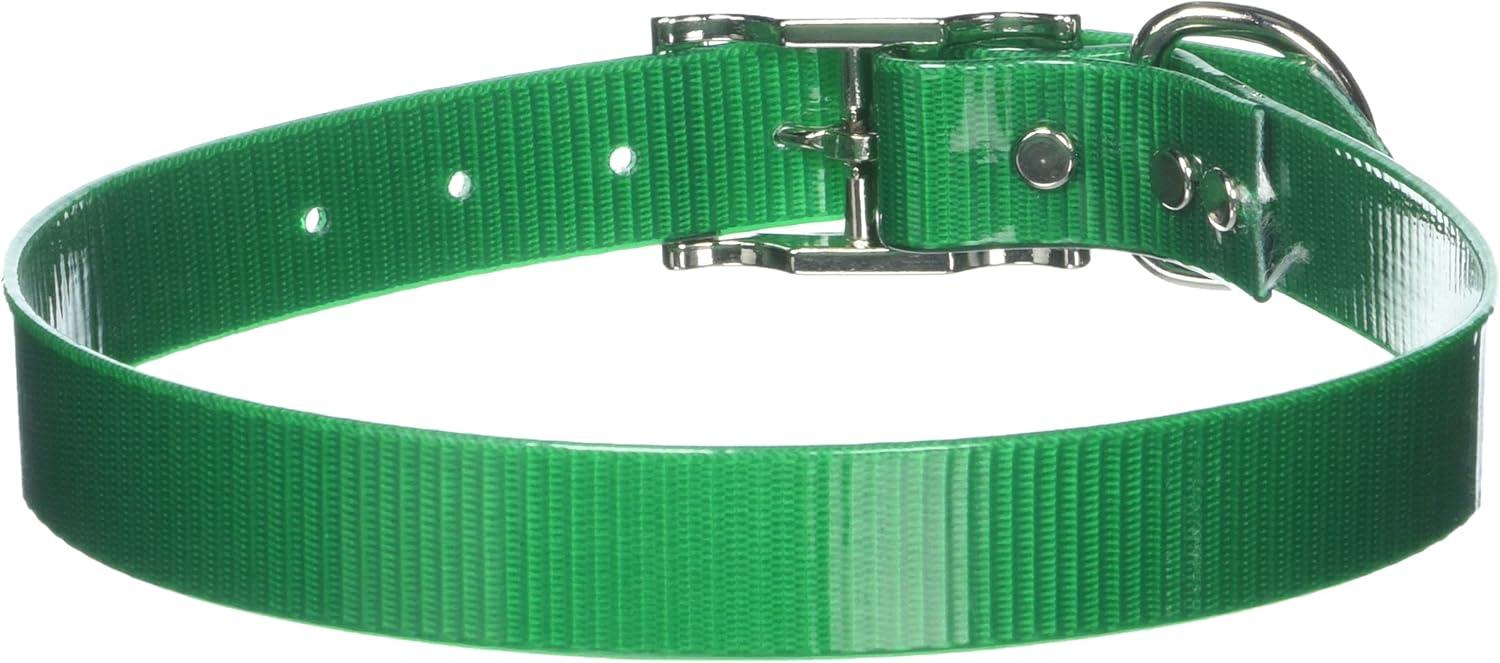 Leather Brothers/OmniPet SunGlo Regular Dog Collar, Green, 1-in x 19-in