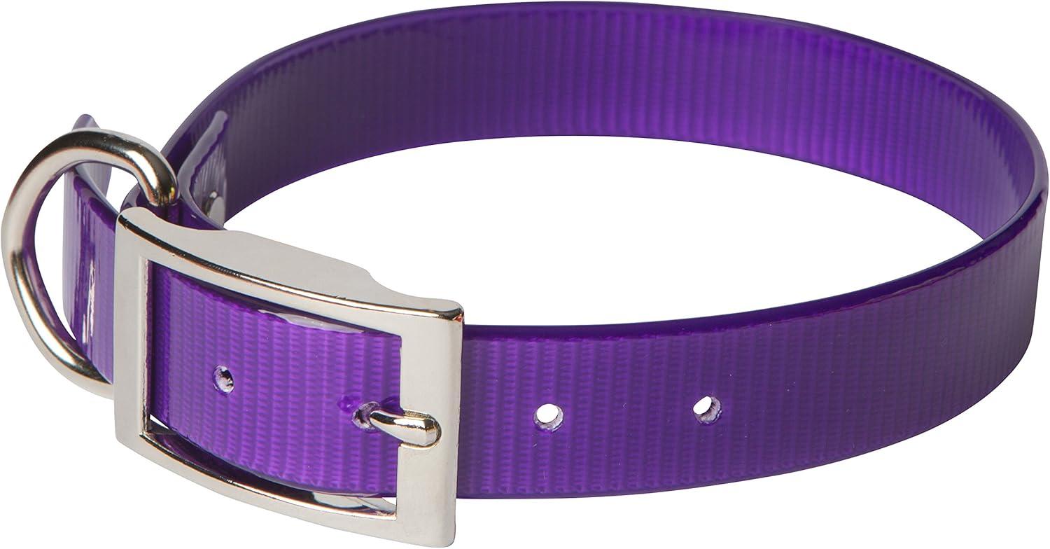 Leather Brothers/OmniPet SunGlo Regular Dog Collar, Purple, 1-in x 19-in