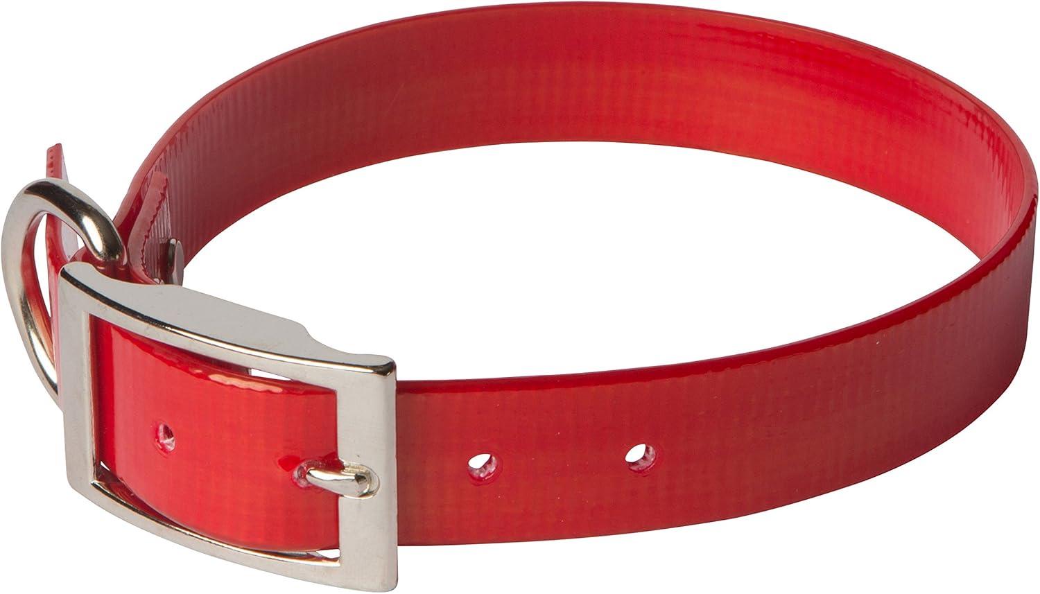 Leather Brothers/OmniPet SunGlo Regular Dog Collar, Red, 1-in x 25-in