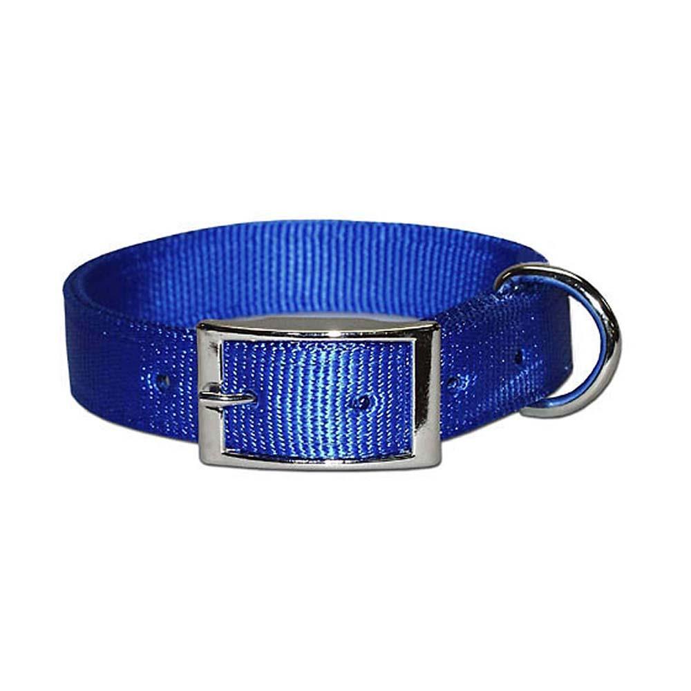 Leather Brothers/OmniPet Bravo Regular 2-Ply Nylon Dog Collar, Blue, 1-in x 23-in