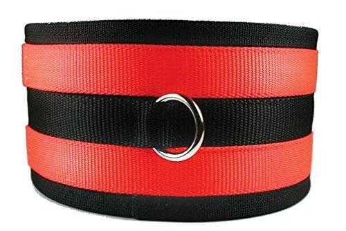 Leather Brothers/OmniPet OverKill Hog Dog Cut Dog Collar, Orange, Small