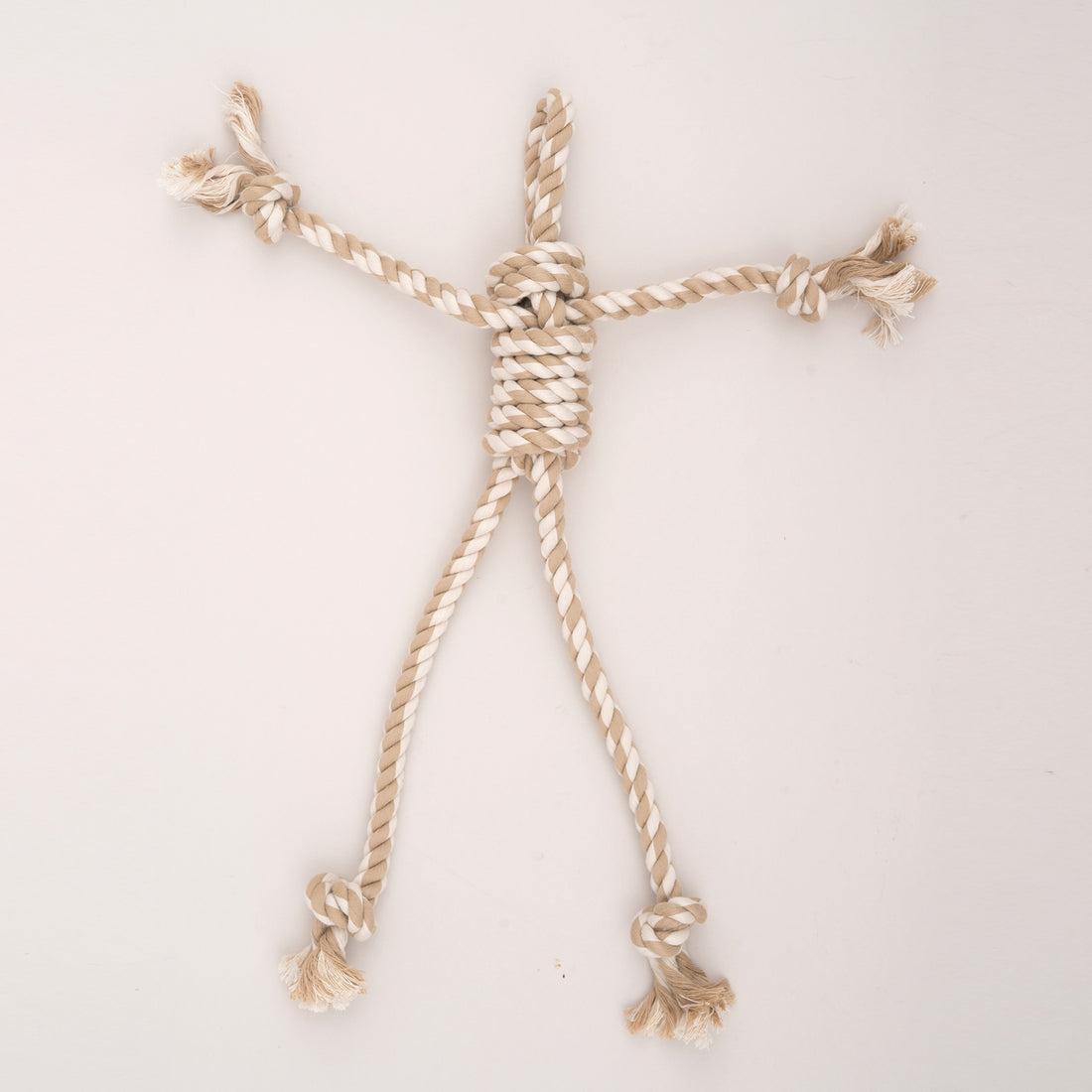 HuggleHounds Redwood Raccoon X-Brace Plush Dog Toy, 19-in