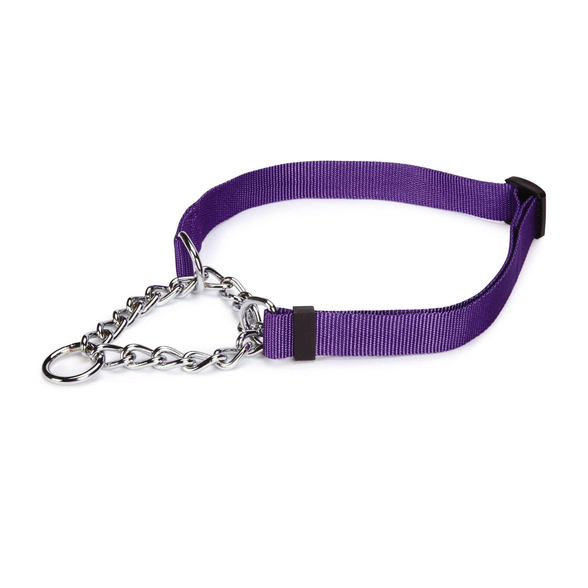 Guardian Gear Choke-Style Martingale Adjustable Dog Collar, Purple, Medium