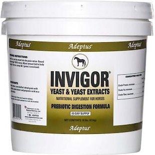 Adeptus Invigor Prebiotic Digestion Formula Powder Horse Supplement, 10-lb