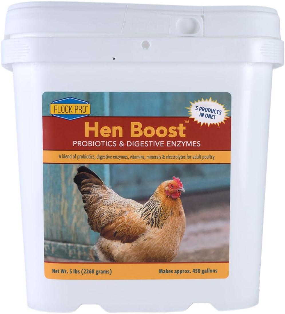 Animal Health Solutions Hen Boost Probiotics & Digestive Enzymes Chicken Supplement, 5-lb