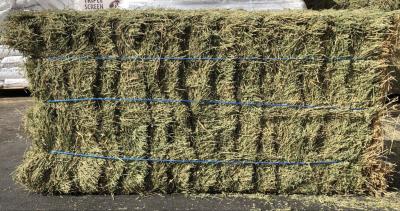 Elston Hay & Grain Alfalfa Hay Organic Livestock Feed, bale