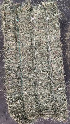 Elston Hay & Grain Orchard Grass Hay #1 Livestock Feed, bale