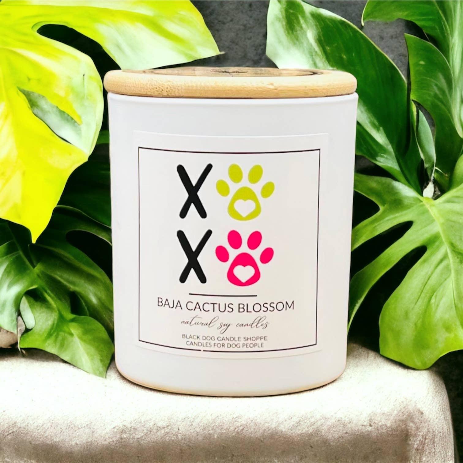 Black Dog Candle Shoppe XOXO Baja Cactus Blossom Candle, 10-oz