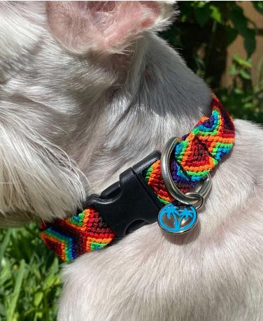 Tulum Handmade Woven Dog Collar, Color Varies, X-Small