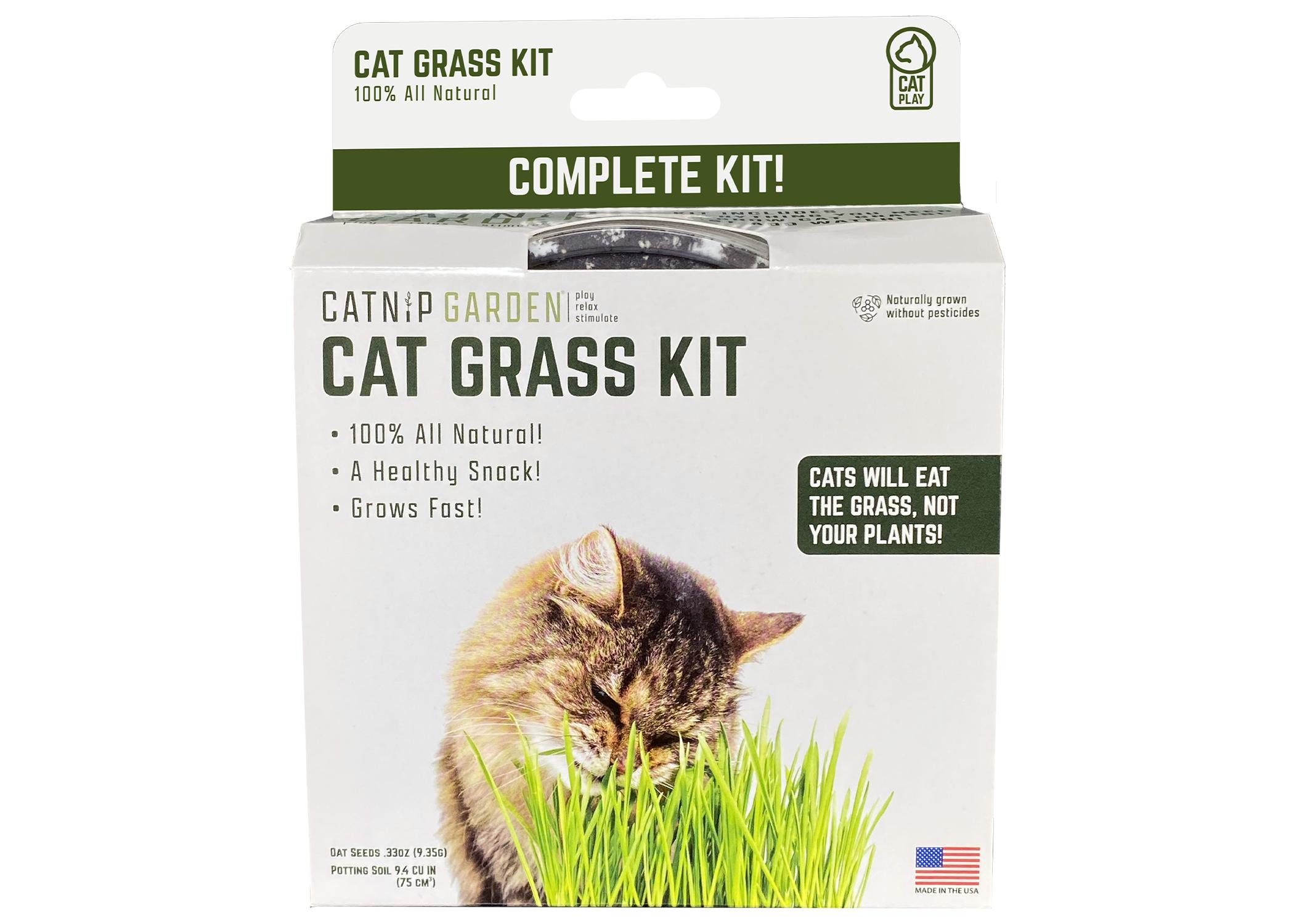 Multipet Catnip Garden Cat Grass Kit