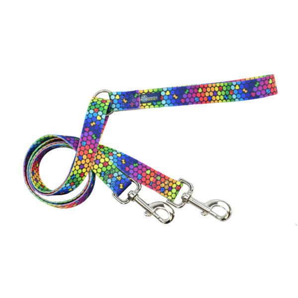 2 Hounds Design Double Connection Training Dog Leash, ROY G BIV, 1-in x 5-ft
