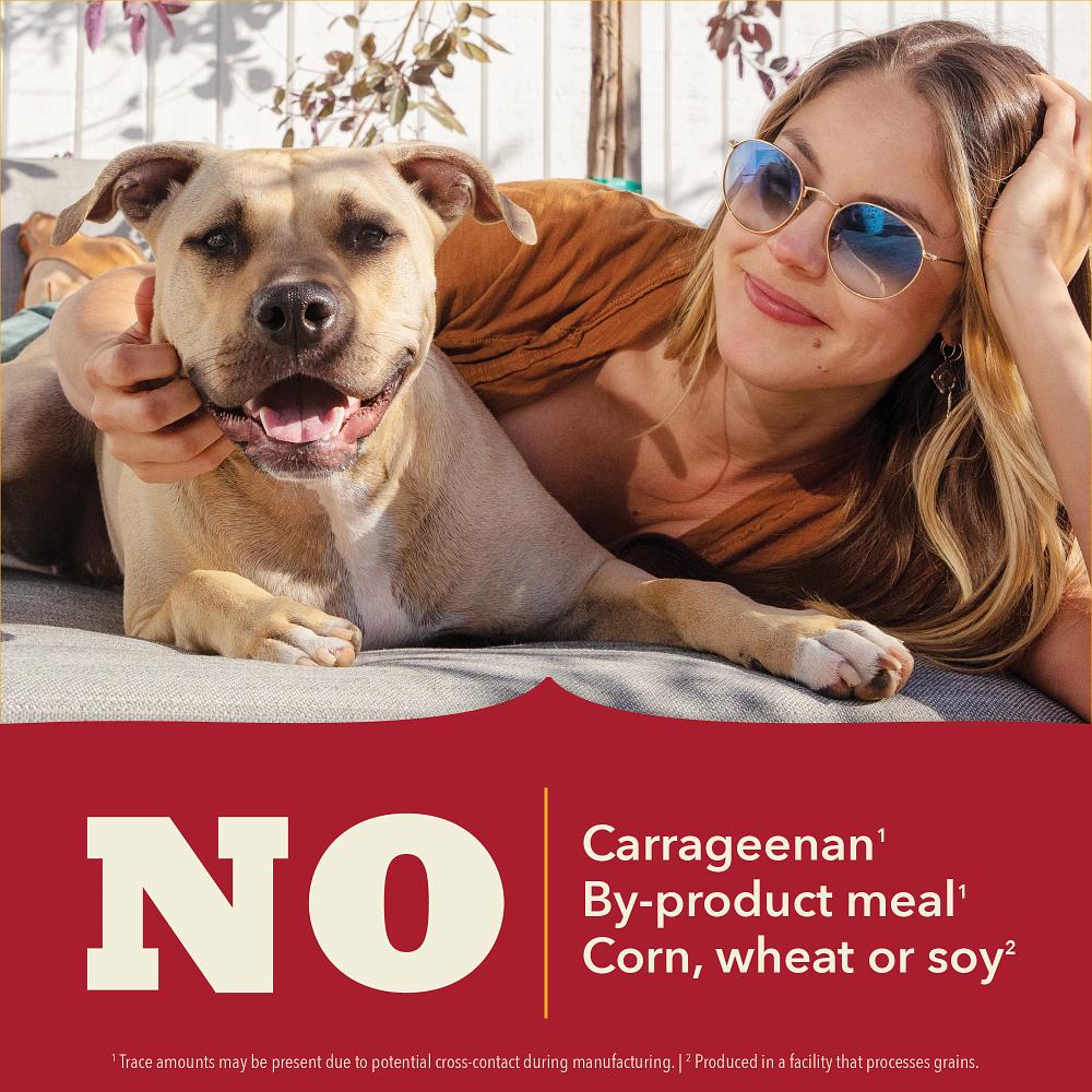 ACANA Classics Beef Recipe Pate Wet Dog Food Can, 12.5-oz