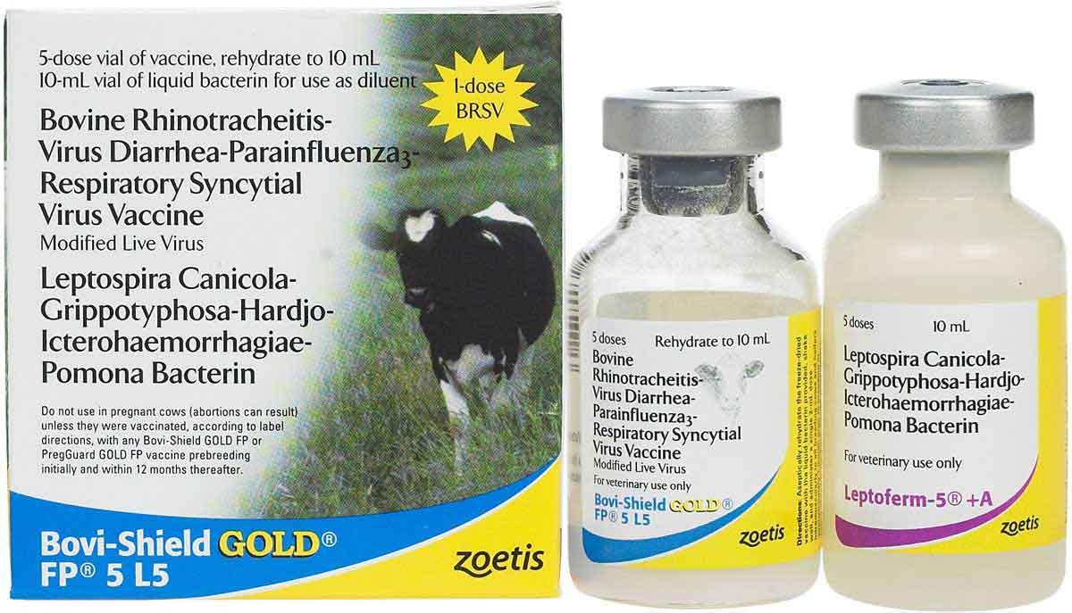 Zoetis Bovi-Shield GOLD FP 5 L5 for Cattle, 5-dose
