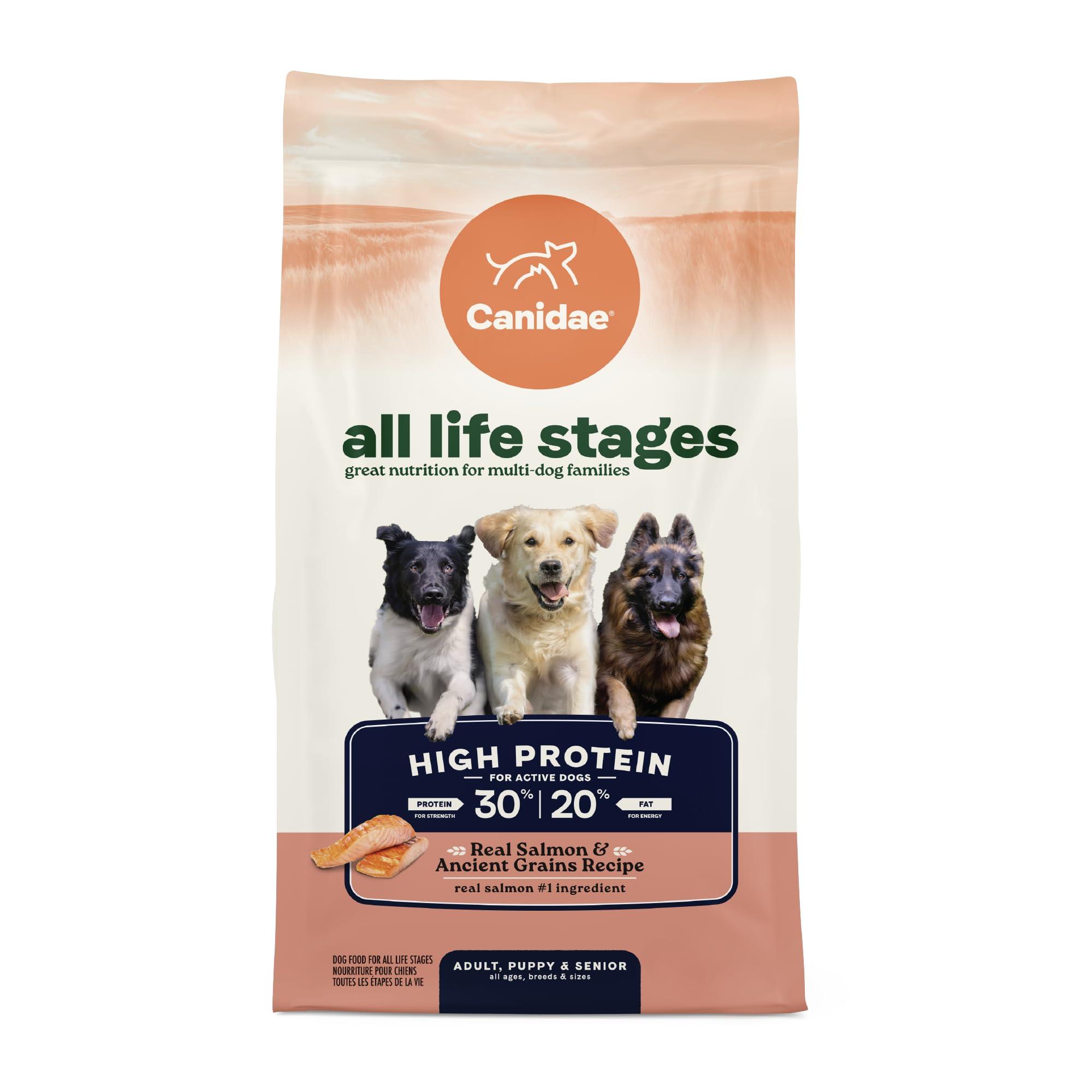 Canidae All Life Stages High Protein Salmon & Ancient Grains Dry Dog Food, 4-lb