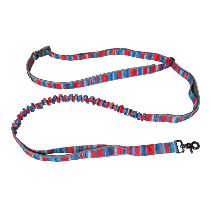 Wingo Outdoors Goose Active Dog Leash, Baja Bars