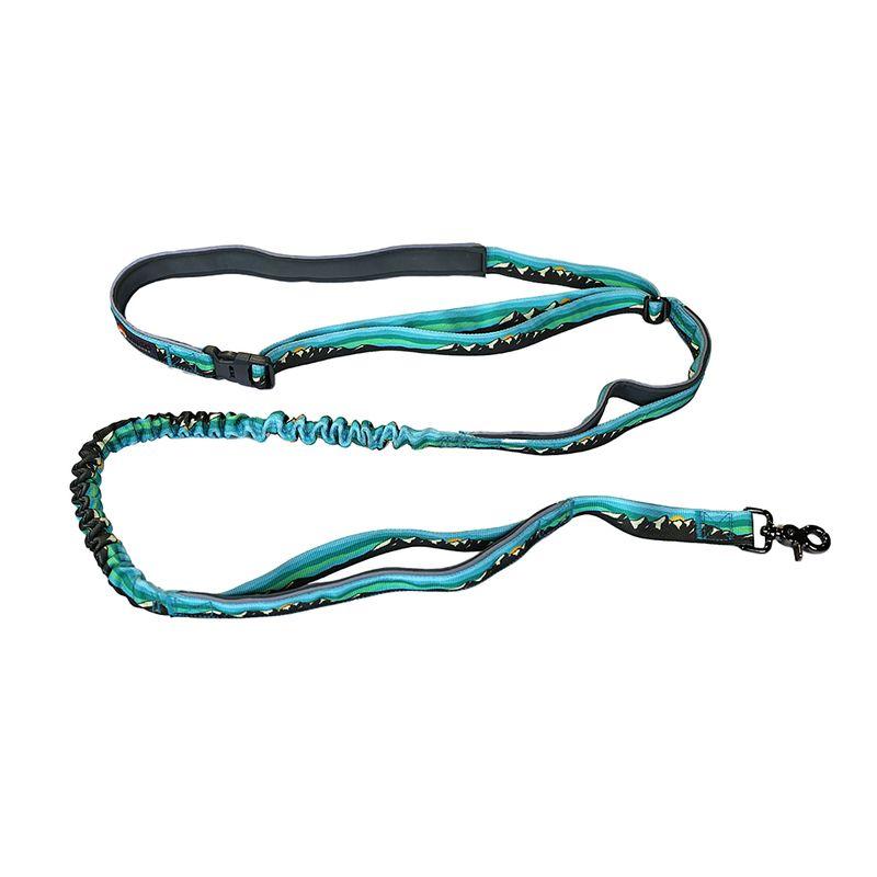 Wingo Outdoors Goose Active Dog Leash, Grand Teton, 8-ft