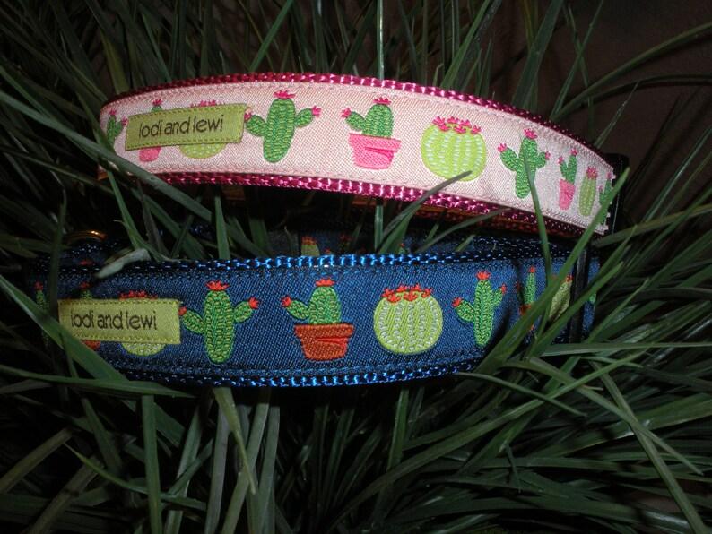 Lodi and Lewi Dog Collar, Cacti Pink, 1-in x 12-20-in
