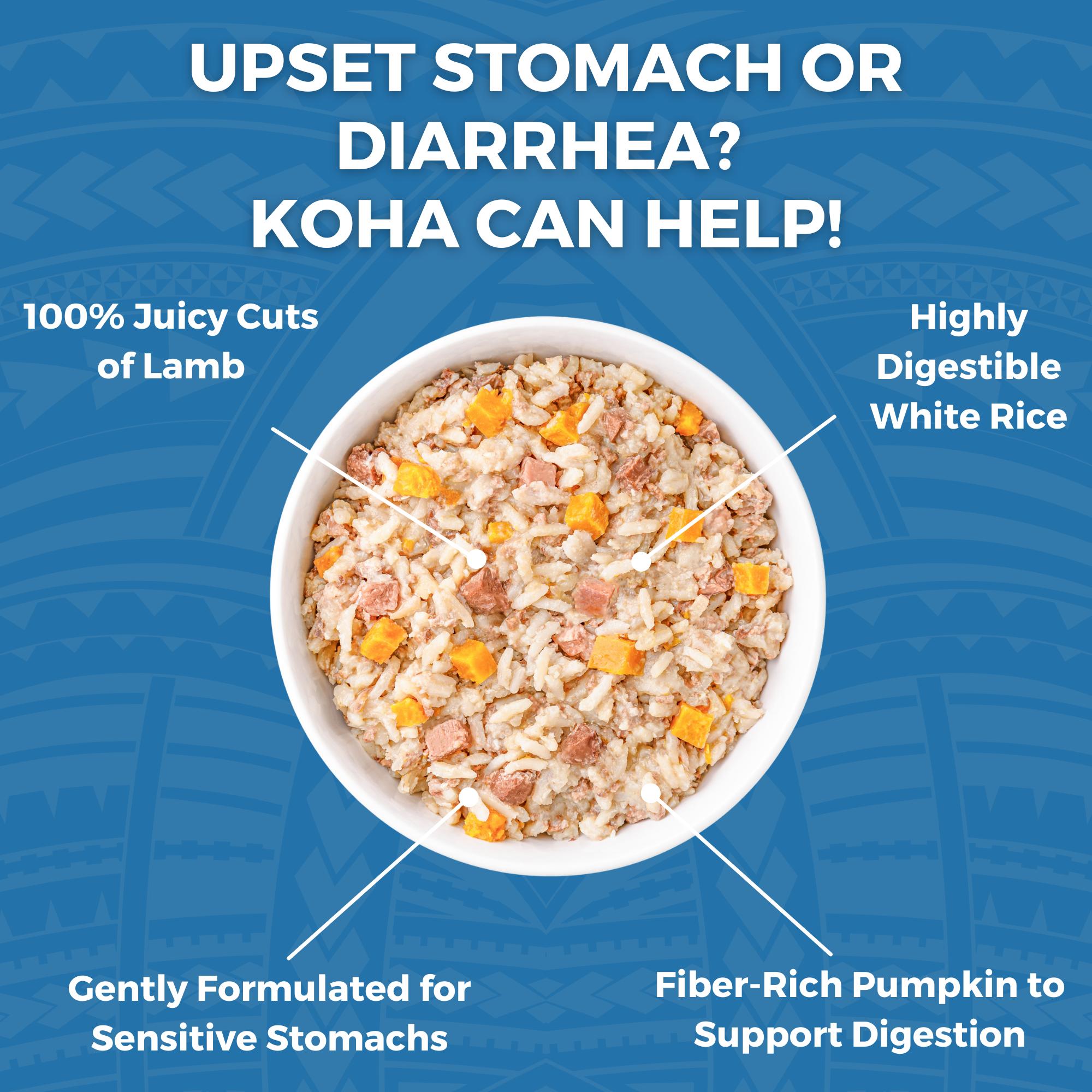 KOHA Limited Ingredient Bland Diet Lamb & White Rice Wet Dog Food Pouch, 12.5-oz