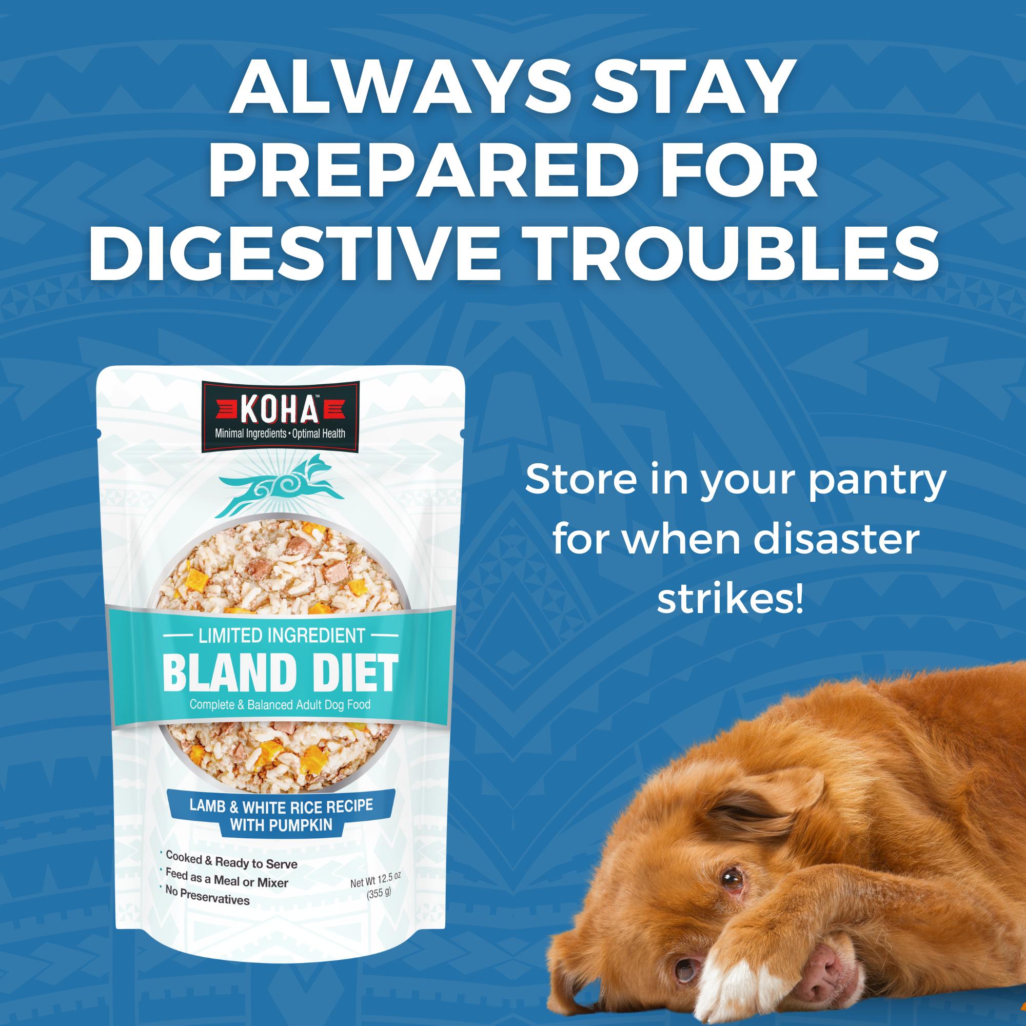 KOHA Limited Ingredient Bland Diet Lamb & White Rice Wet Dog Food Pouch, 12.5-oz