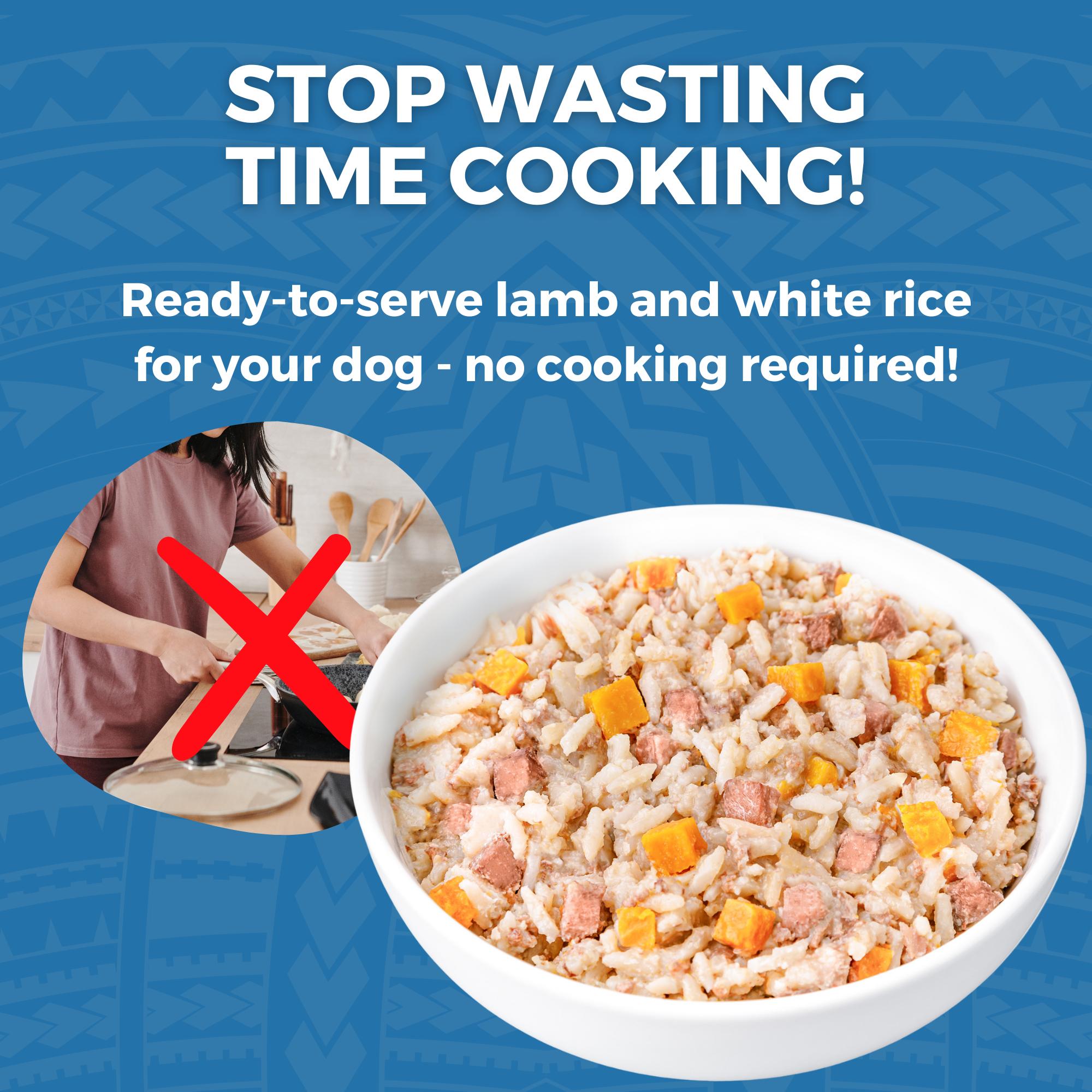 KOHA Limited Ingredient Bland Diet Lamb & White Rice Wet Dog Food Pouch, 12.5-oz