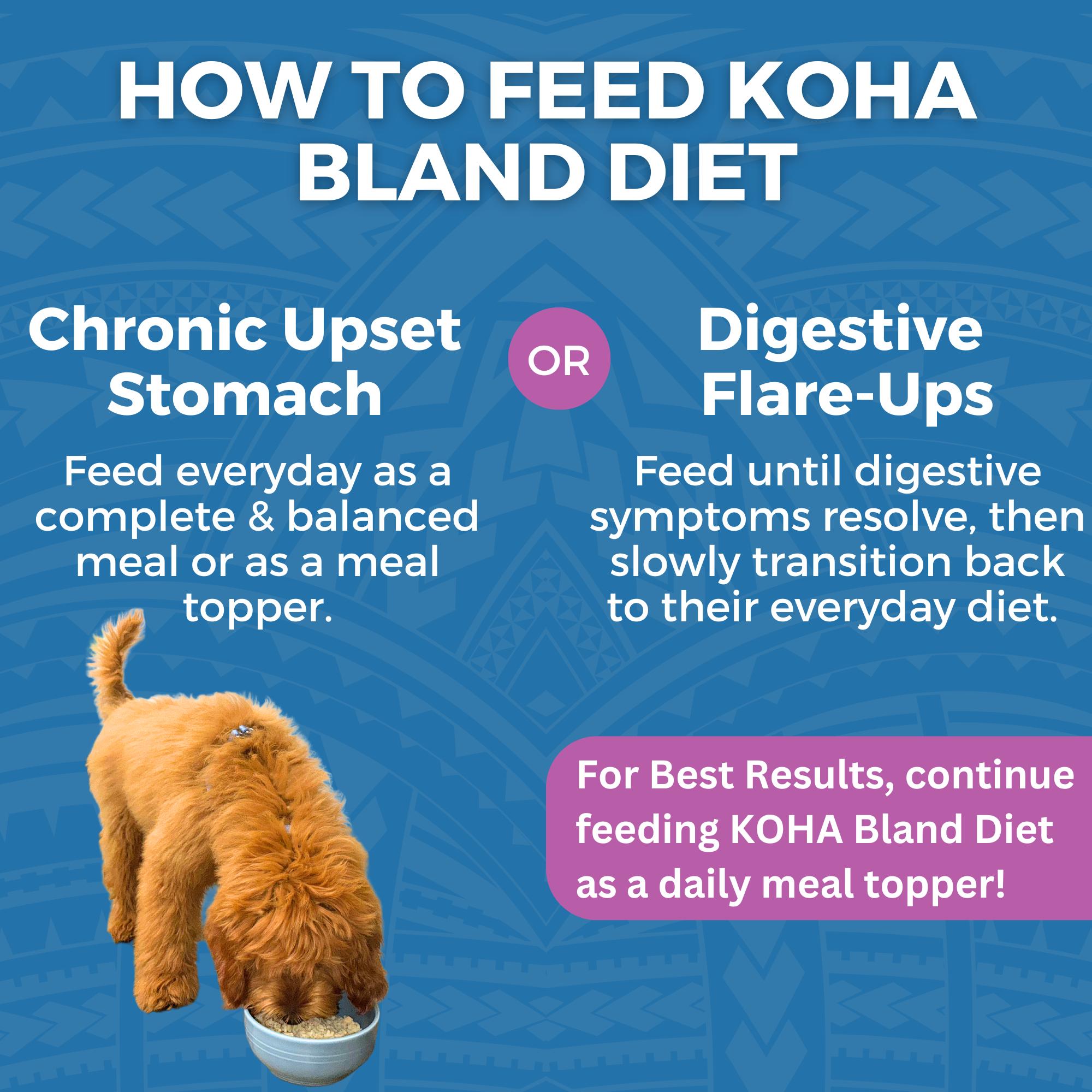 KOHA Limited Ingredient Bland Diet Lamb & White Rice Wet Dog Food Pouch, 12.5-oz