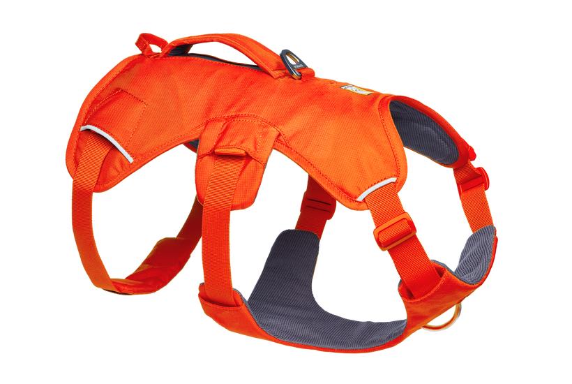 Ruffwear Web Master Harness with Handle for Dogs, Blaze Orange, XX-Small