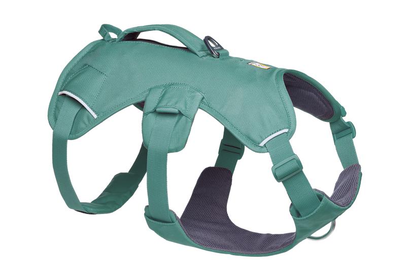 Ruffwear Web Master Harness with Handle for Dogs, River Rock Green, XX-Small