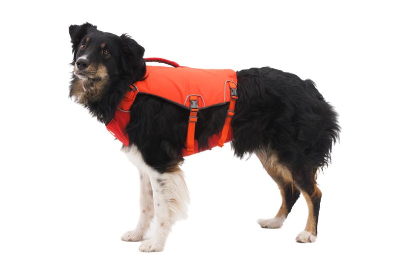 Ruffwear Confluence Life Jacket, Tangelo Orange, Small