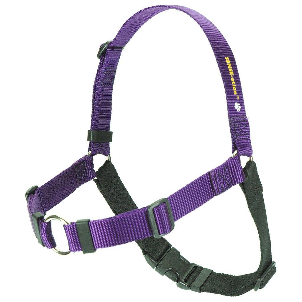 NWP Harness SENSE-ation Dog Harness, Purple, X-Small