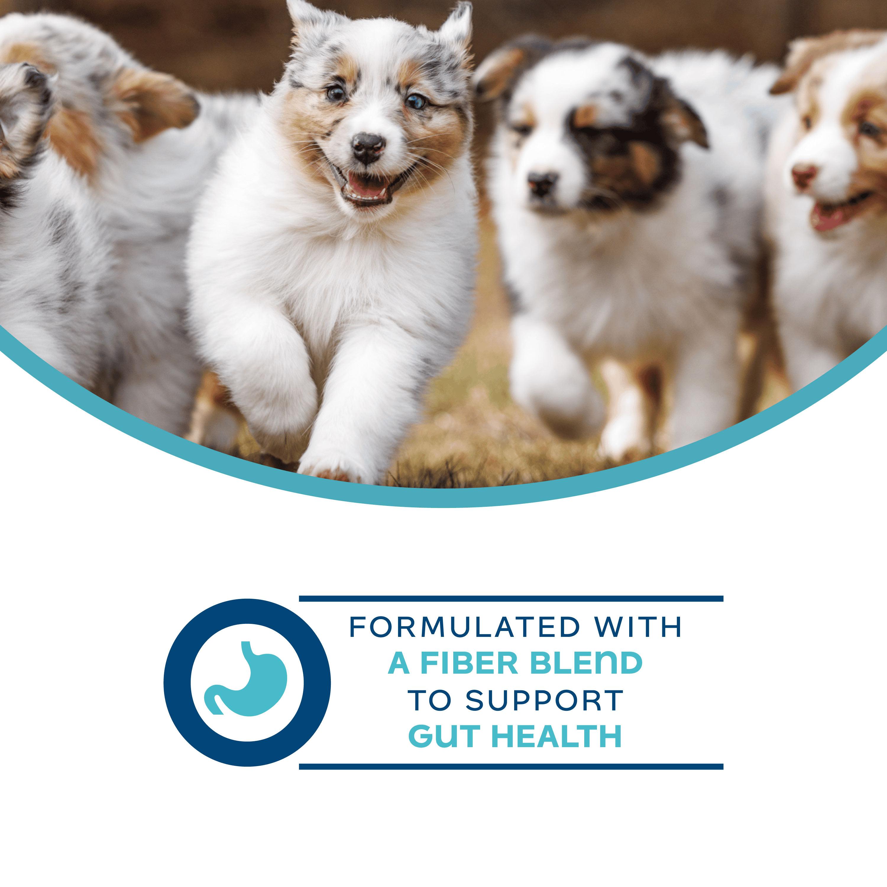 Fromm Nutritionals Digestive Pate Dog Food Supplement Can, 13-oz