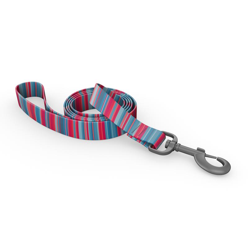 Wingo Outdoors Bowie Dog Leash, Baja Bars, 1-in x 6-ft