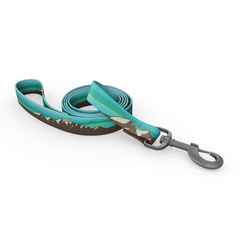 Wingo Outdoors Bowie Dog Leash, Grand Teton, 1-in x 6-ft