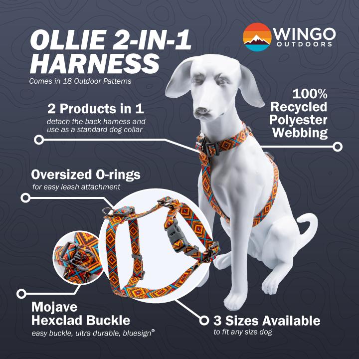 Wingo Outdoors Ollie 2-in-1 Dog Harness, Constellations, Small