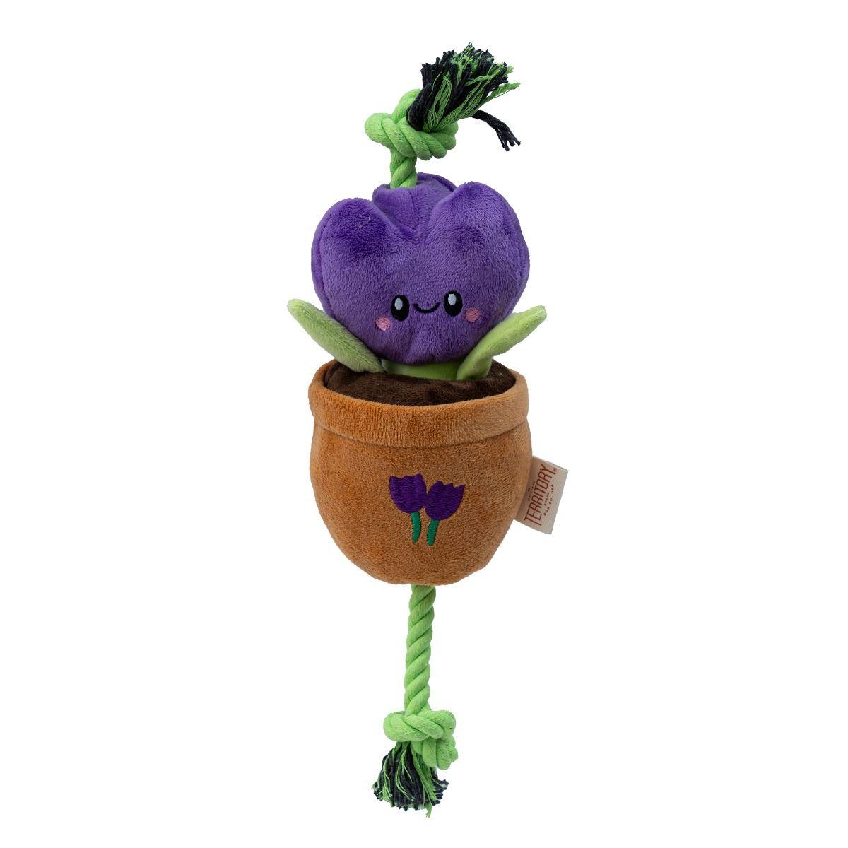 Original Territory Flower Treat & Tug Dog Toy, Purple, 19-in