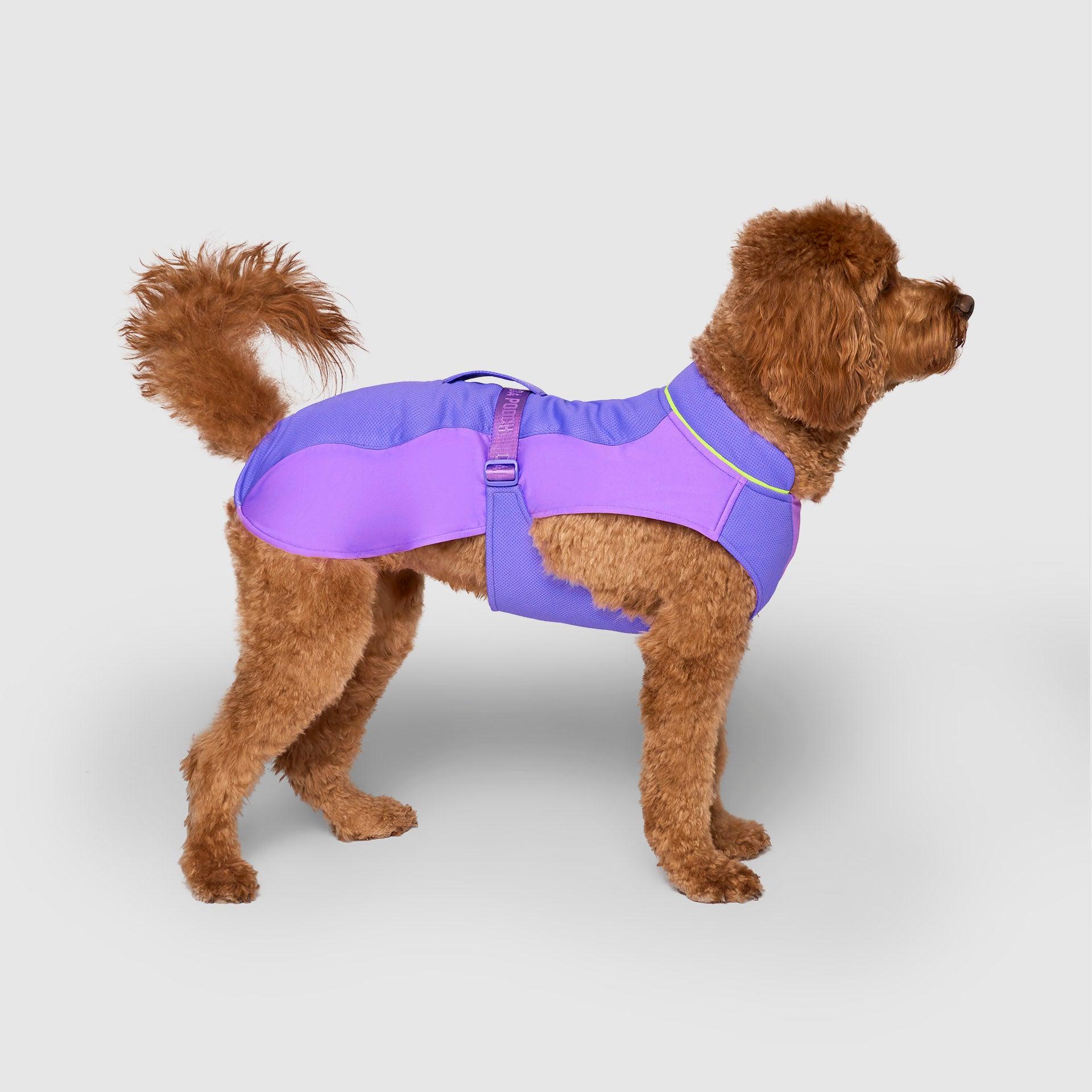 Canada Pooch Max Chill Cooling Vest for Dogs, Purple, X-Small