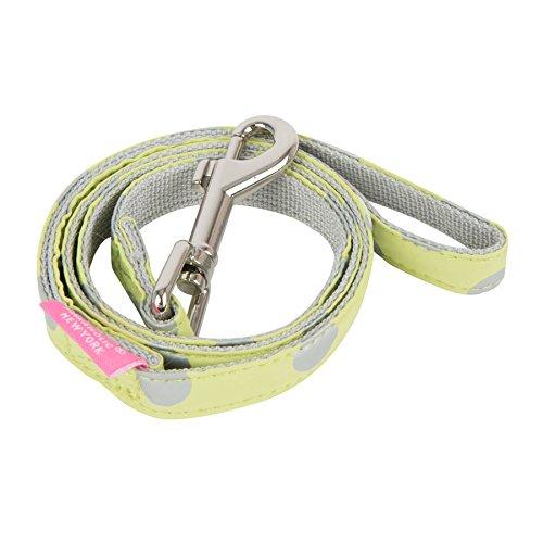 Pinkaholic Chic Dog Leash, Lime