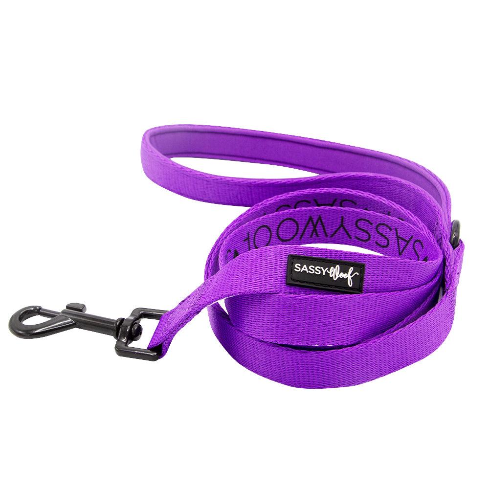 Sassy Woof Dog Leash, Neon Purple, 0.8-in x 60-in