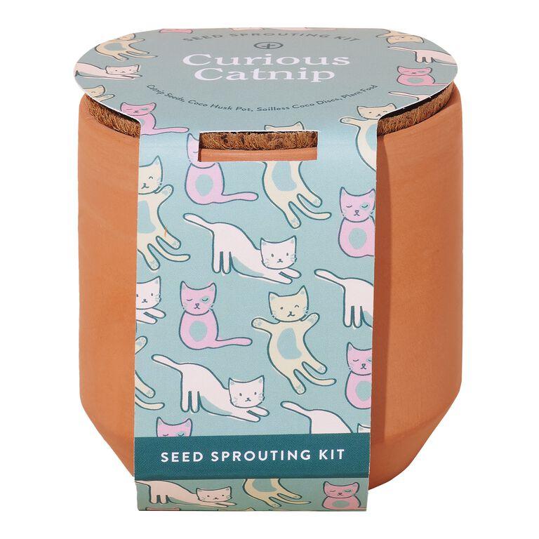 Modern Sprout Curious Catnip Pet Tiny Terracotta Grow Kits