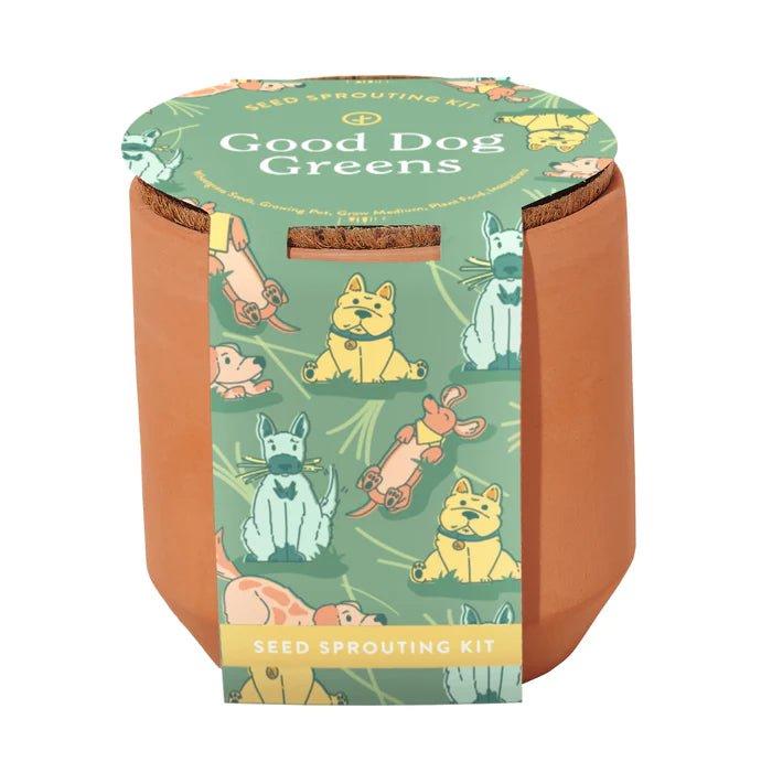 Modern Sprout Good Dog Greens Pet Tiny Terracotta Grow Kits, 9.6-oz