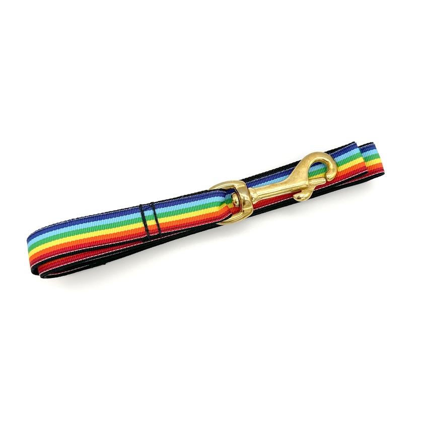 Winthrop Clothing Co. Dog Leash, Rainbow, 5-ft