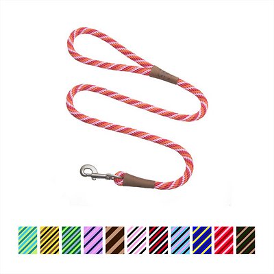 Mendota Pet Large Snap Striped Dog Leash, Twist Taffy, 1/2-in x 4-ft