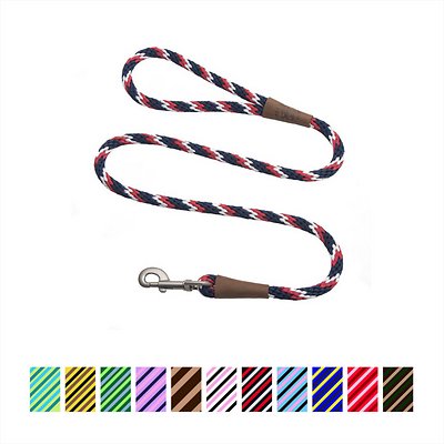 Mendota Pet Large Snap Striped Dog Leash, TriColor Pride, 1/2-in x 4-ft