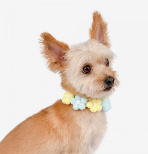 Puppia Olchi Flower Pompom Necklace for Dogs, Yellow, Medium