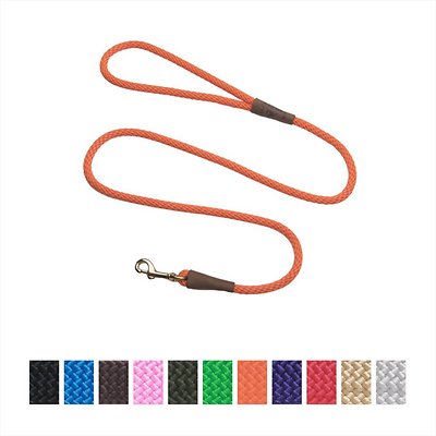 Mendota Pet Small Snap Solid Dog Leash, Orange, 3/8-in x 6-ft