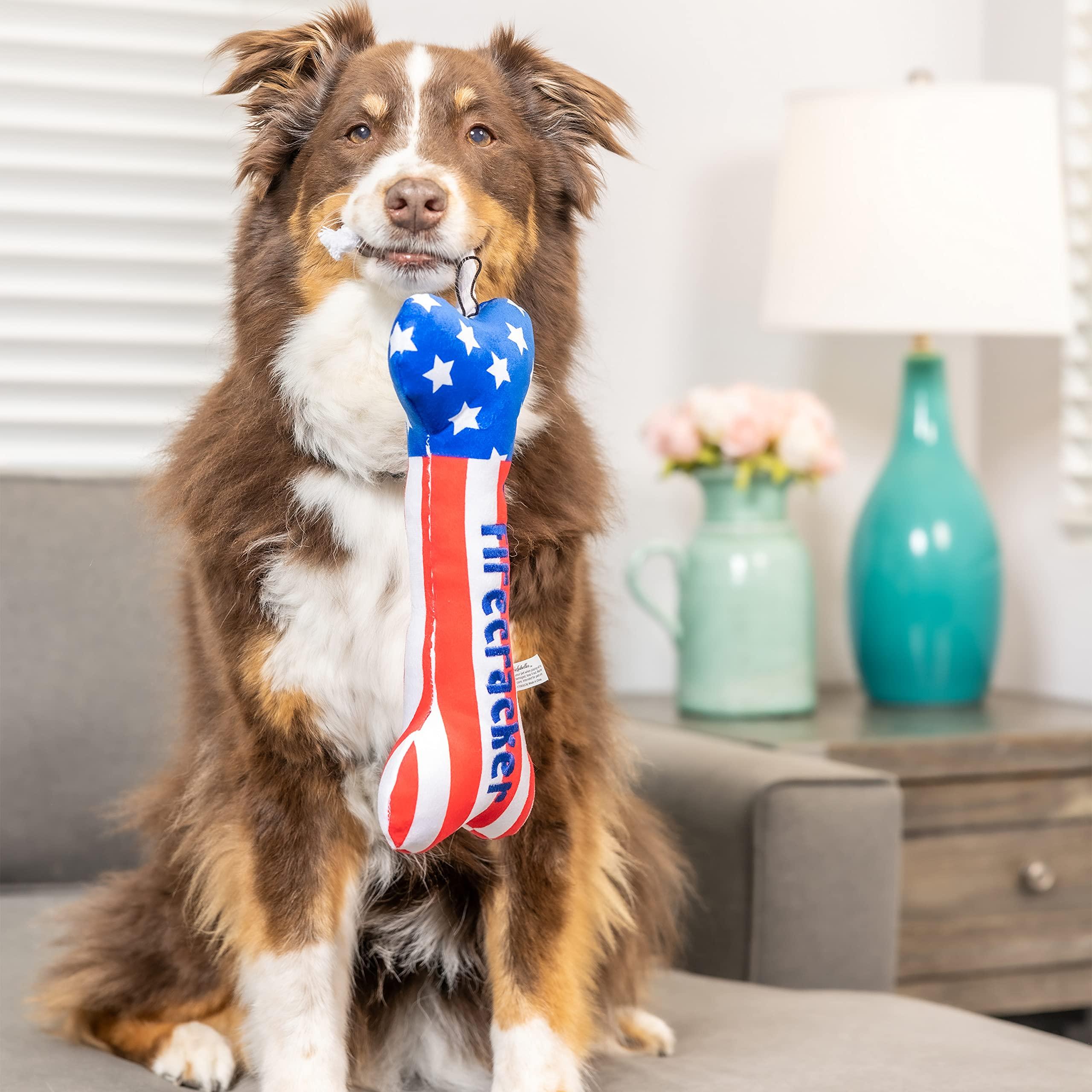 Huxley & Kent Power Plush Lil' Firecracker Bone Dog Toy, Large