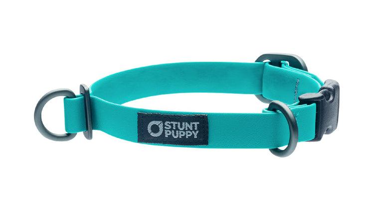Stunt Puppy Dry Dog Collar, Teal, Medium