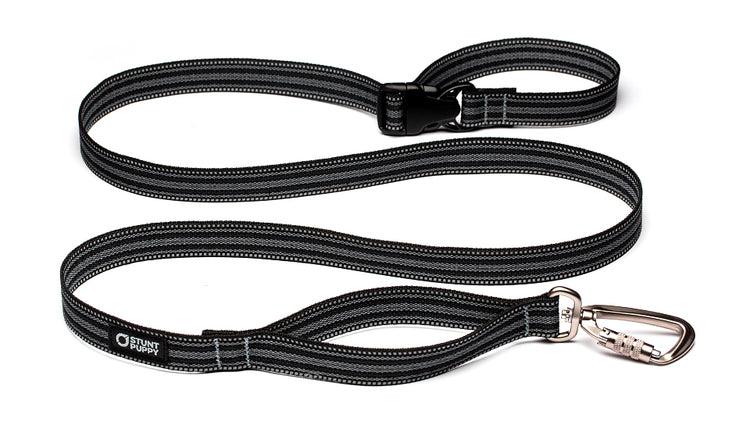 Stunt Puppy Go Dog Glo Everyday Dog Leash, Black, 1-in x 5-ft